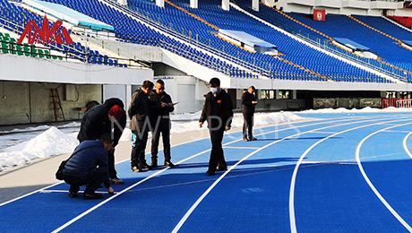 Prefabricated Rubber Running Track