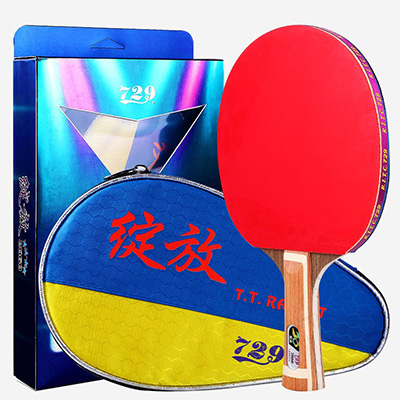 Pingpong 2060 1