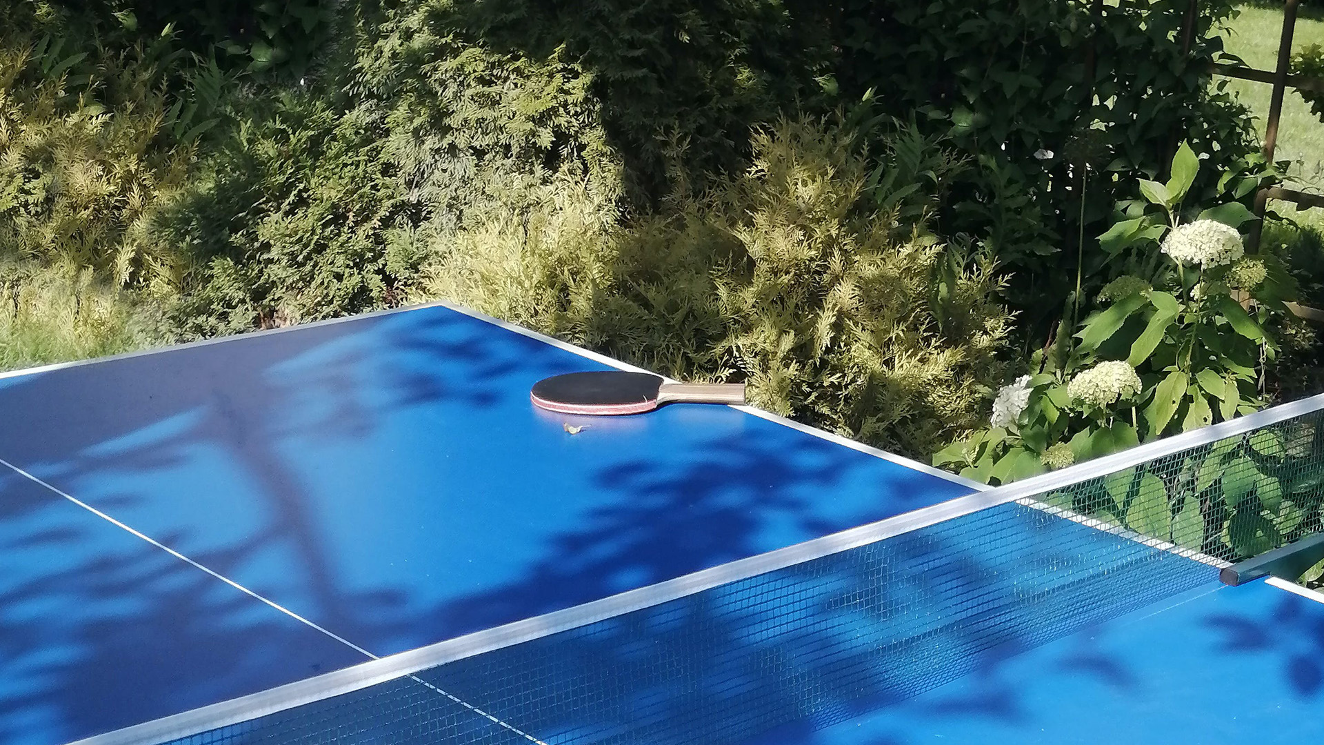 Cheapest Table Tennis Table for Indoor